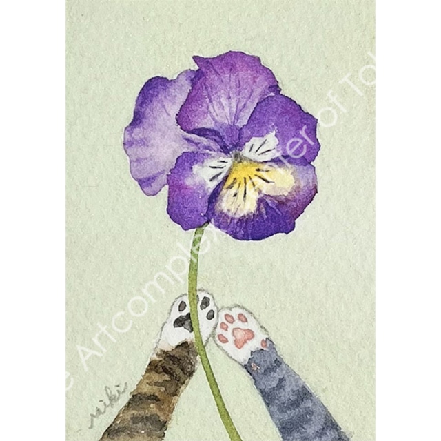 キジシマ ミキ「ビオラをどうぞ」