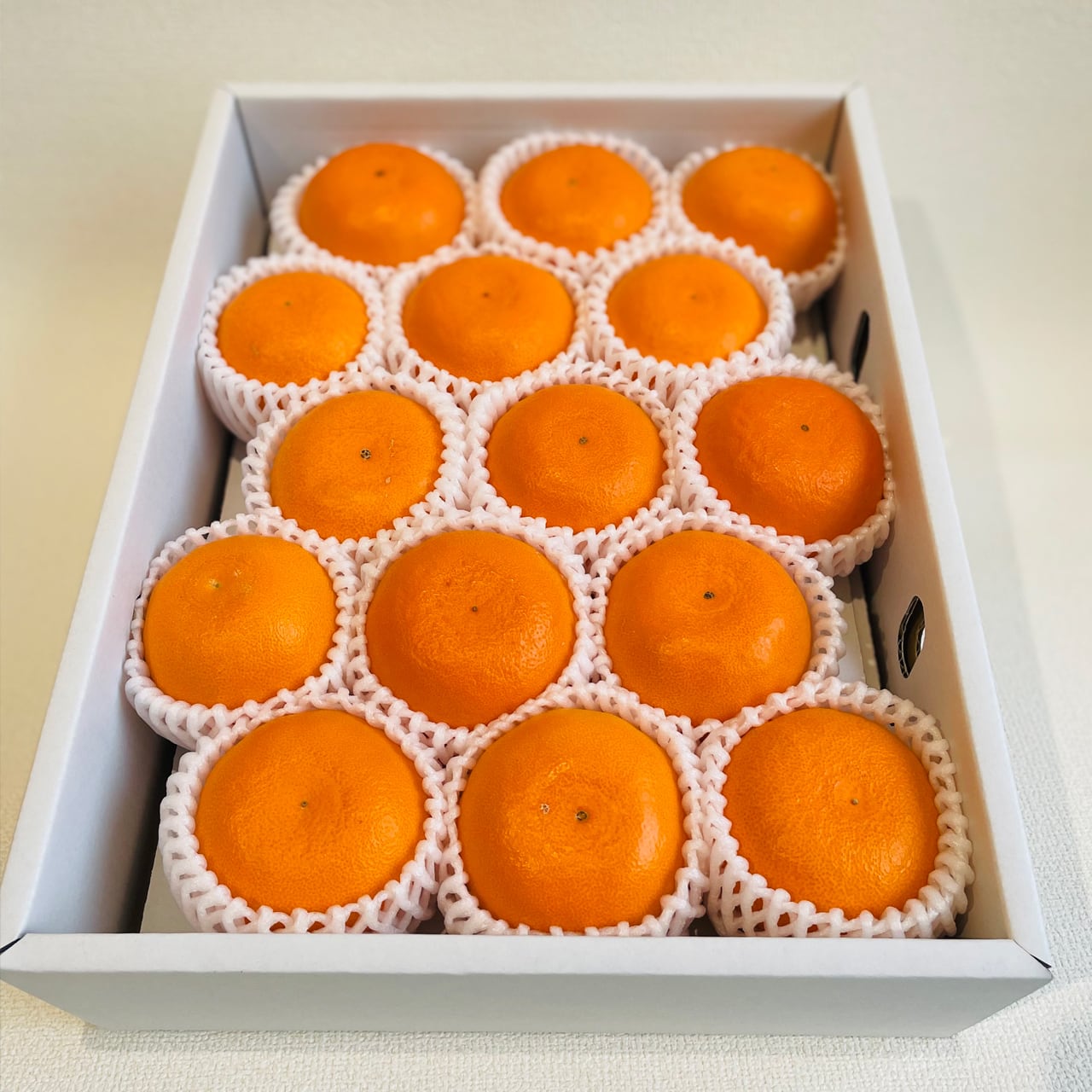 49e55d0e4e3bd27e9ce06abc0acf2f