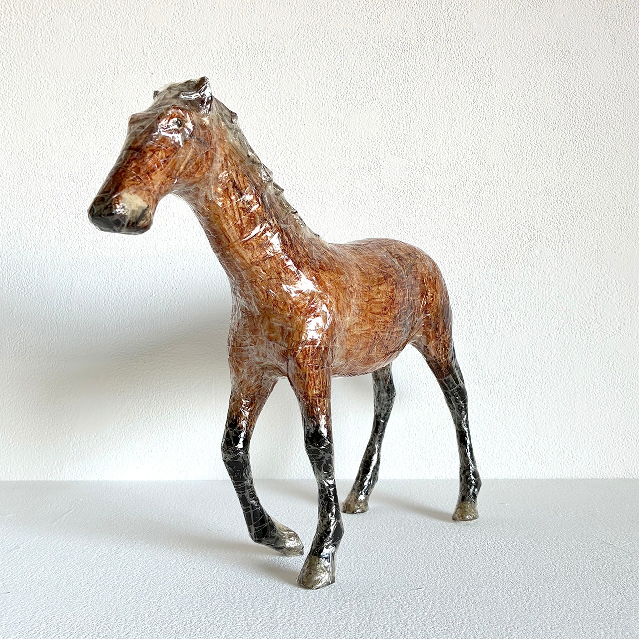 植田 楽さん／#43 ベルジャン