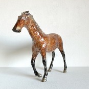 植田 楽さん／#43 ベルジャン