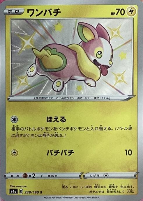 【Bランク】ワンパチ(S)