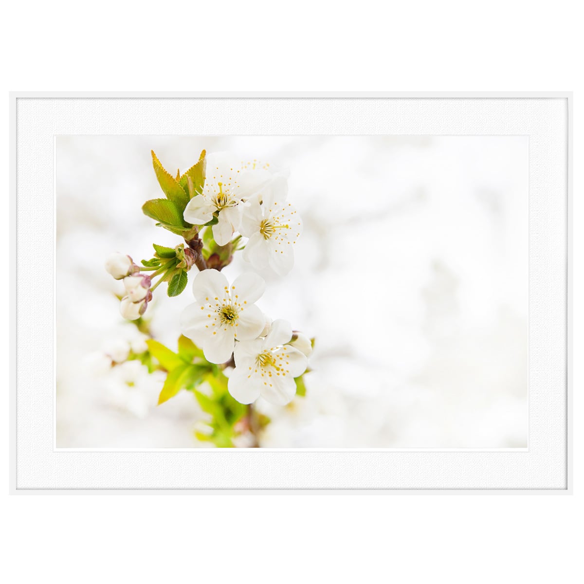 花写真 スズラン(鈴蘭) インテリアアートポスター額装 AS2886