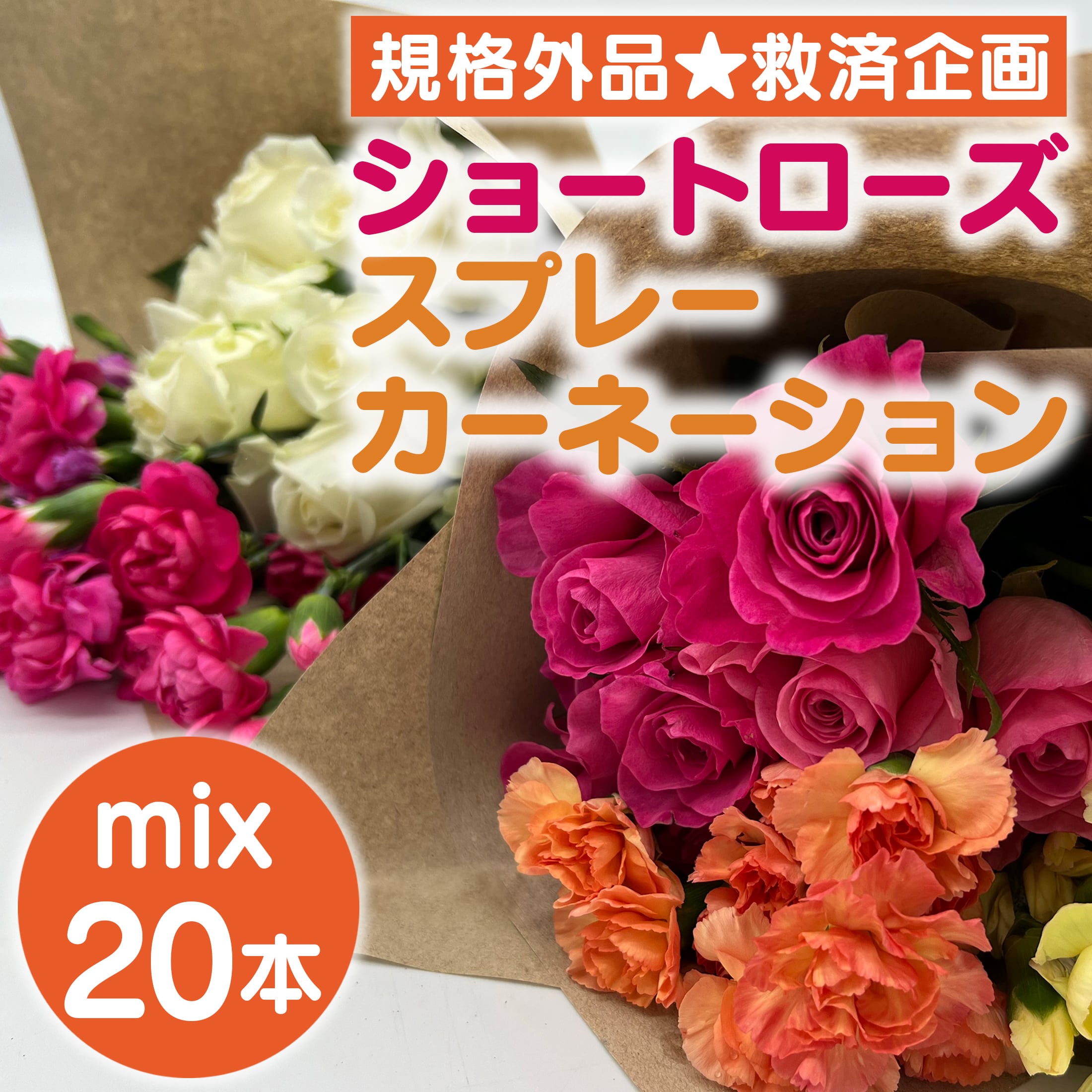 〈規格外品☆救済企画〉ショートローズ+スプレーカーネーション規格外mix 20本★フラワーロス削減