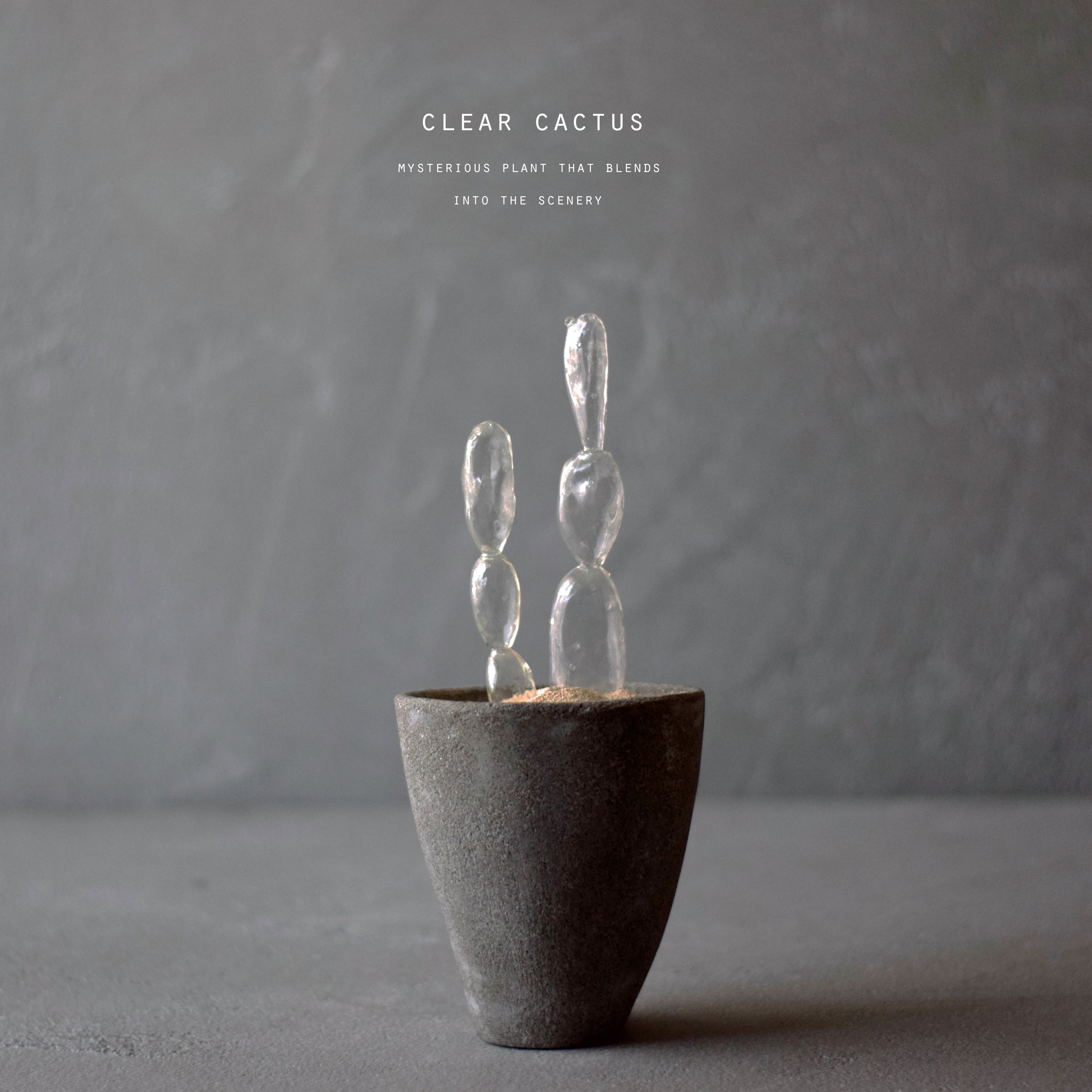 透明サボテン 003 （曇り） | Sabotensi