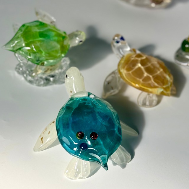 岩沢 達　ウミガメ ジュエリー付き