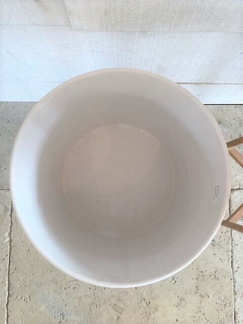 YM77d CELECTオリジナル モンスタースタッズ鉢白歯 5号 大鉢 YM77d CELECTオリジナル モンスタースタッズ鉢白歯 5号 大鉢