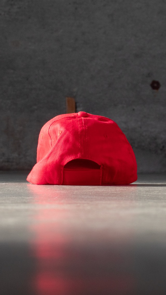"ALVINNN!!! and the Chipmunks" used Kids cap