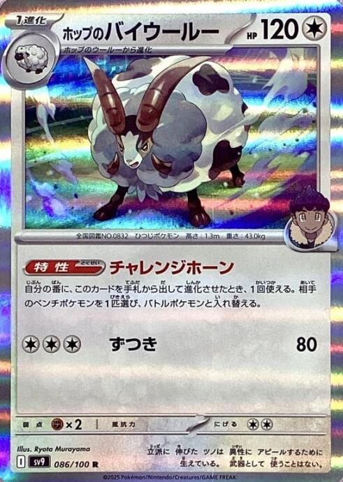 【美品】ホップのバイウールー(R)