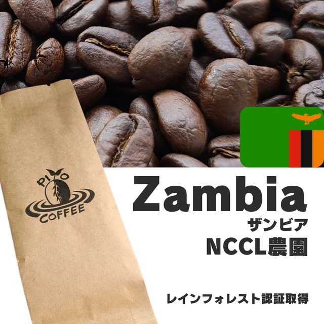 ザンビア NCCL農園 RA認証 コーヒー豆 100gから│ピヨコーヒー 自家焙煎豆 送料無料