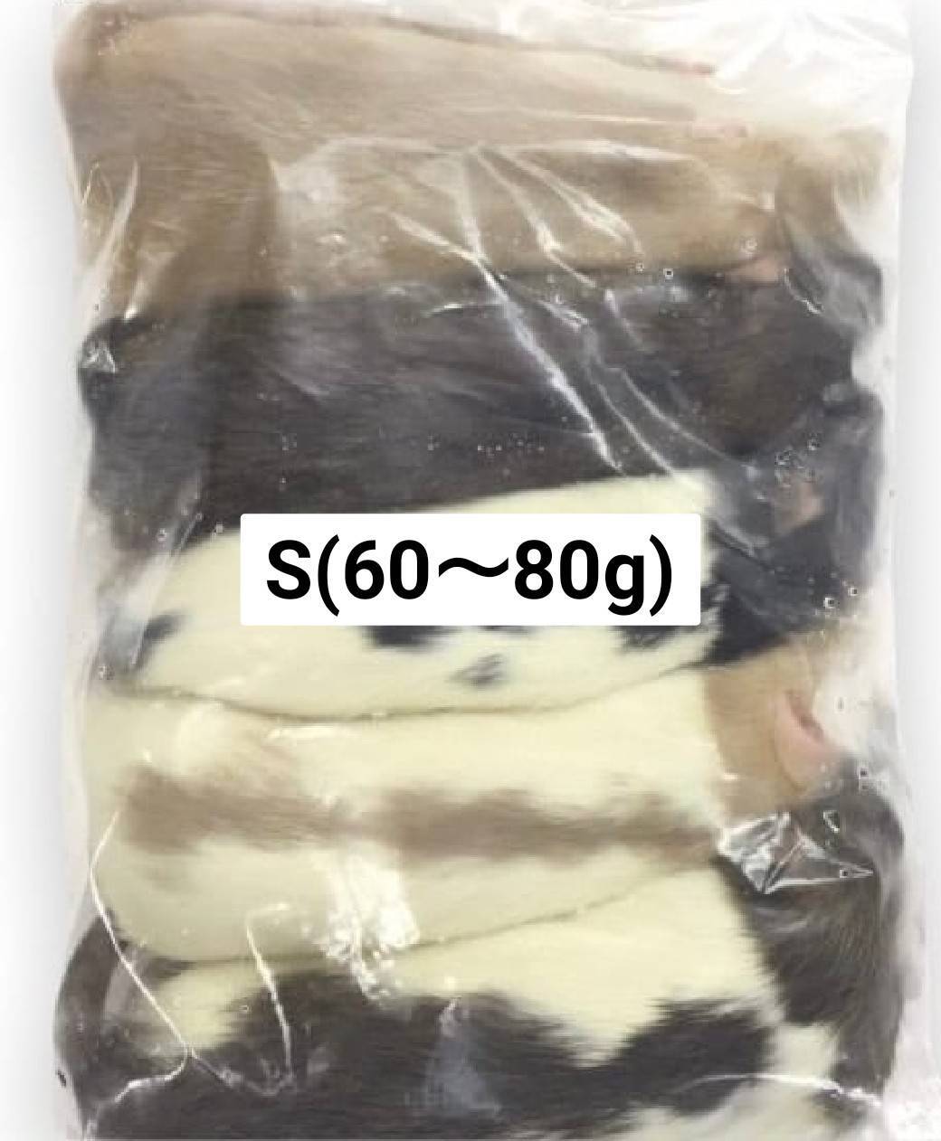 国産冷凍ホッパーマウス 10匹入り | サムライジャパンレプタイルズ