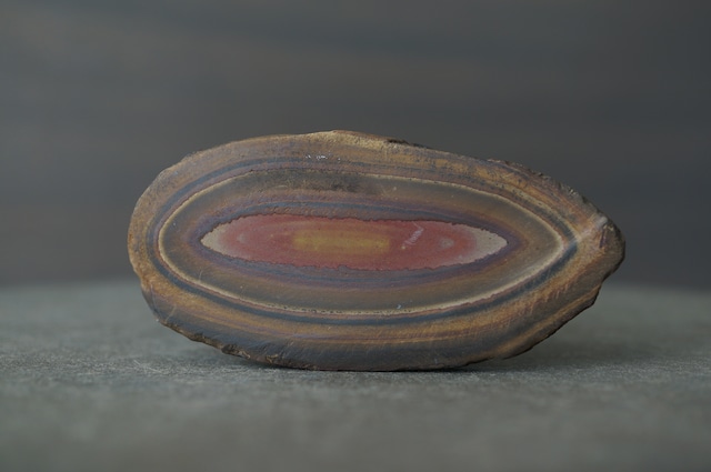 モロッコ産ストロマトライト Stromatolite 2213
