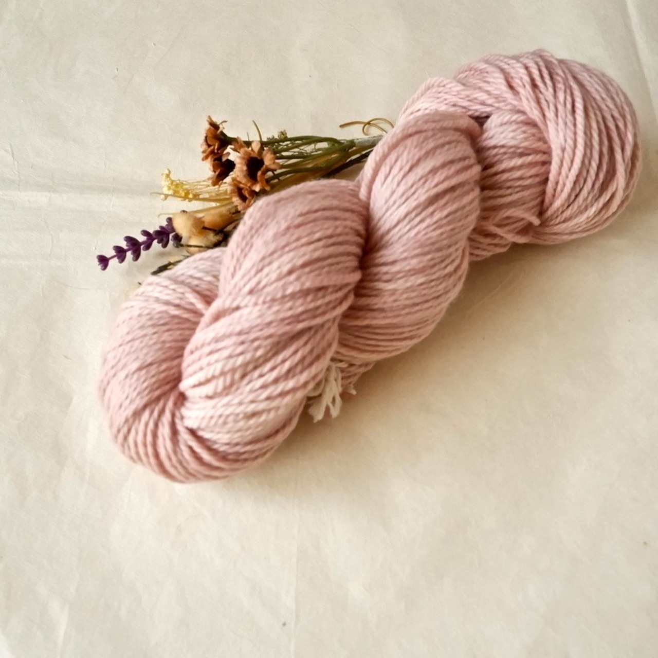 meriyasu Aran mA901・画像2