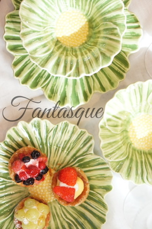 マリアフラワー　コスモス