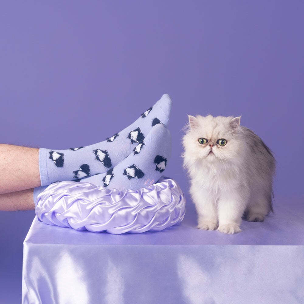 即納» Coucou Suzette BLACK & WHITE CAT SOCKS ククシュゼット | 子供