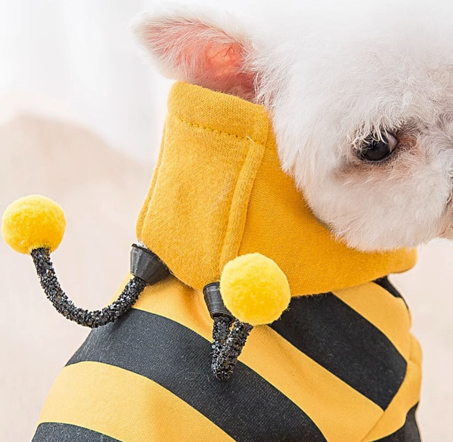 ハンドメイド 犬服　ハロウィン　パーカー 犬服ハンドメイド✨ハロウィン✨ 犬服ハンドメイド ハロウィンパーカー