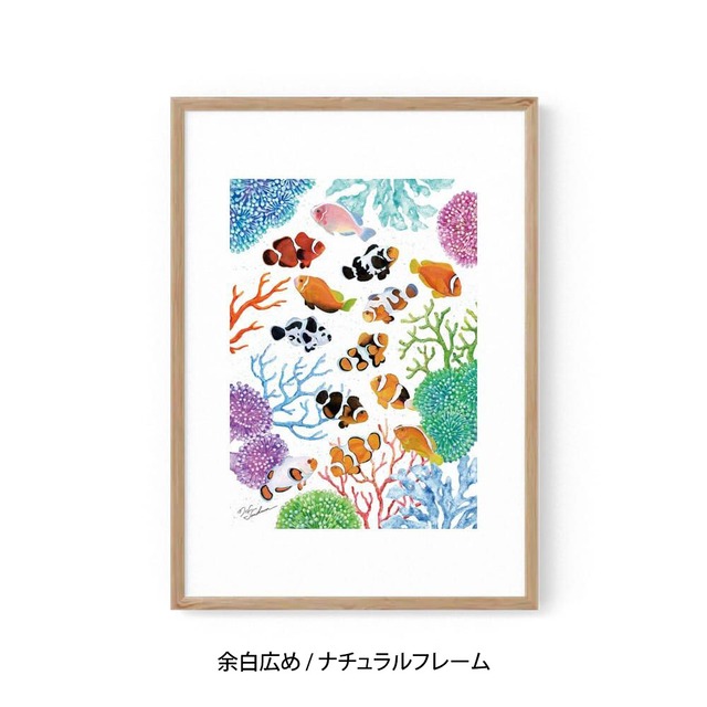 A2｜クマノミの舞踏会（フレームあり）
