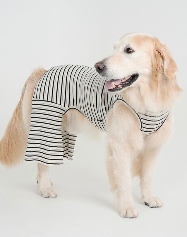 脚を締め付けないラッパパンツ - (BLACK)