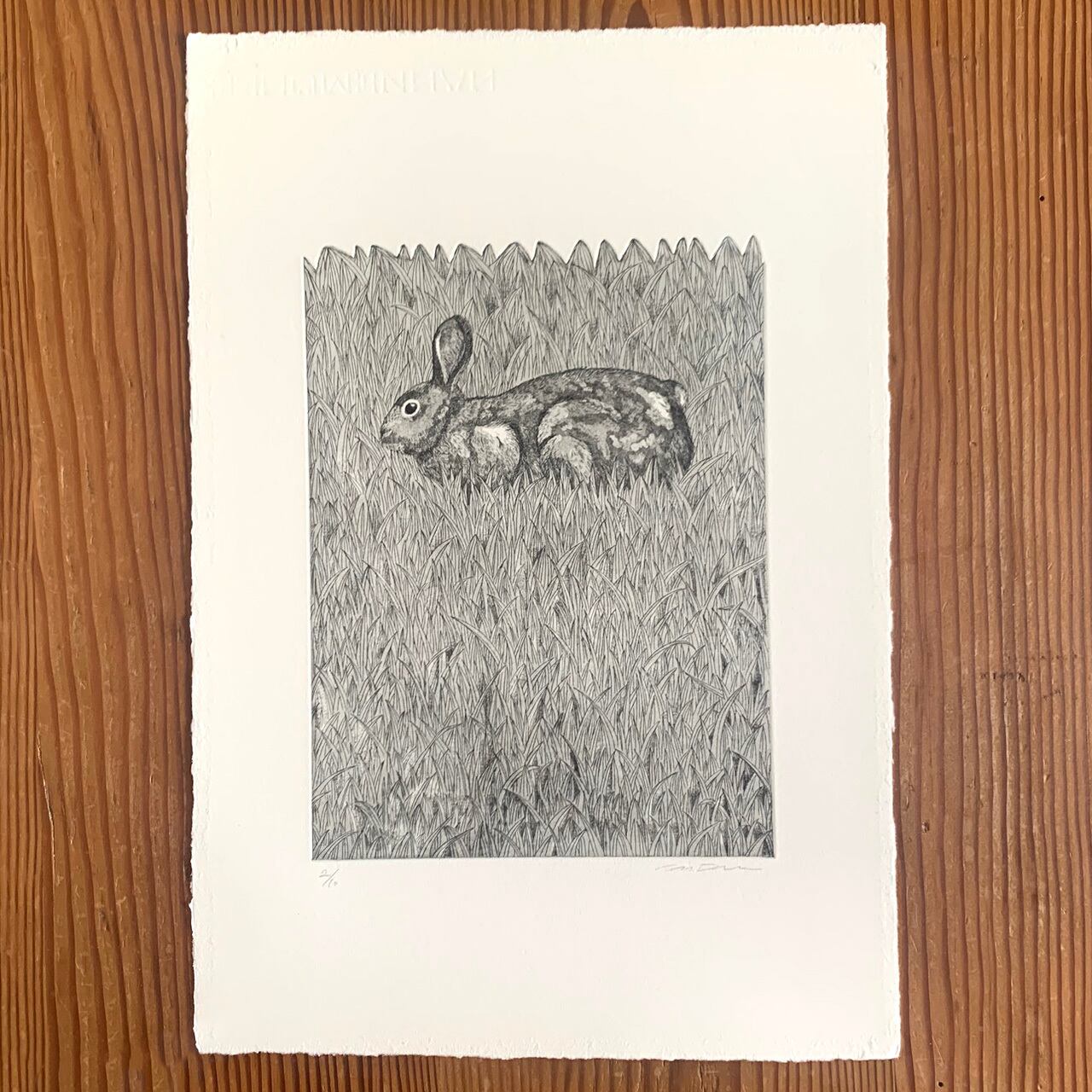 銅版画シート 草原のうさぎ | ラリーキルト、トライバルラグ、キリム
