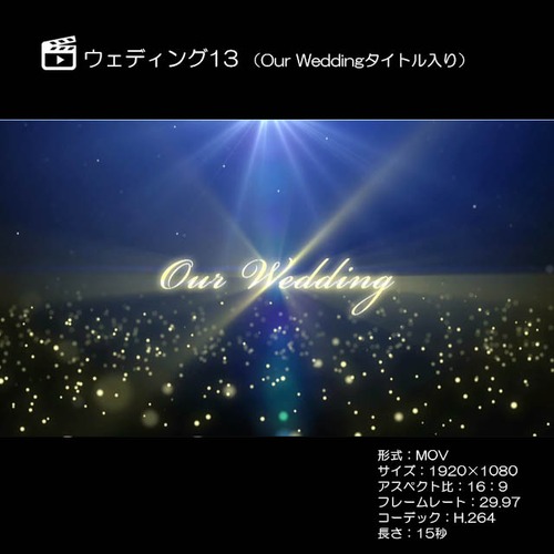 ウェディング13（Our Weddingタイトル入り）