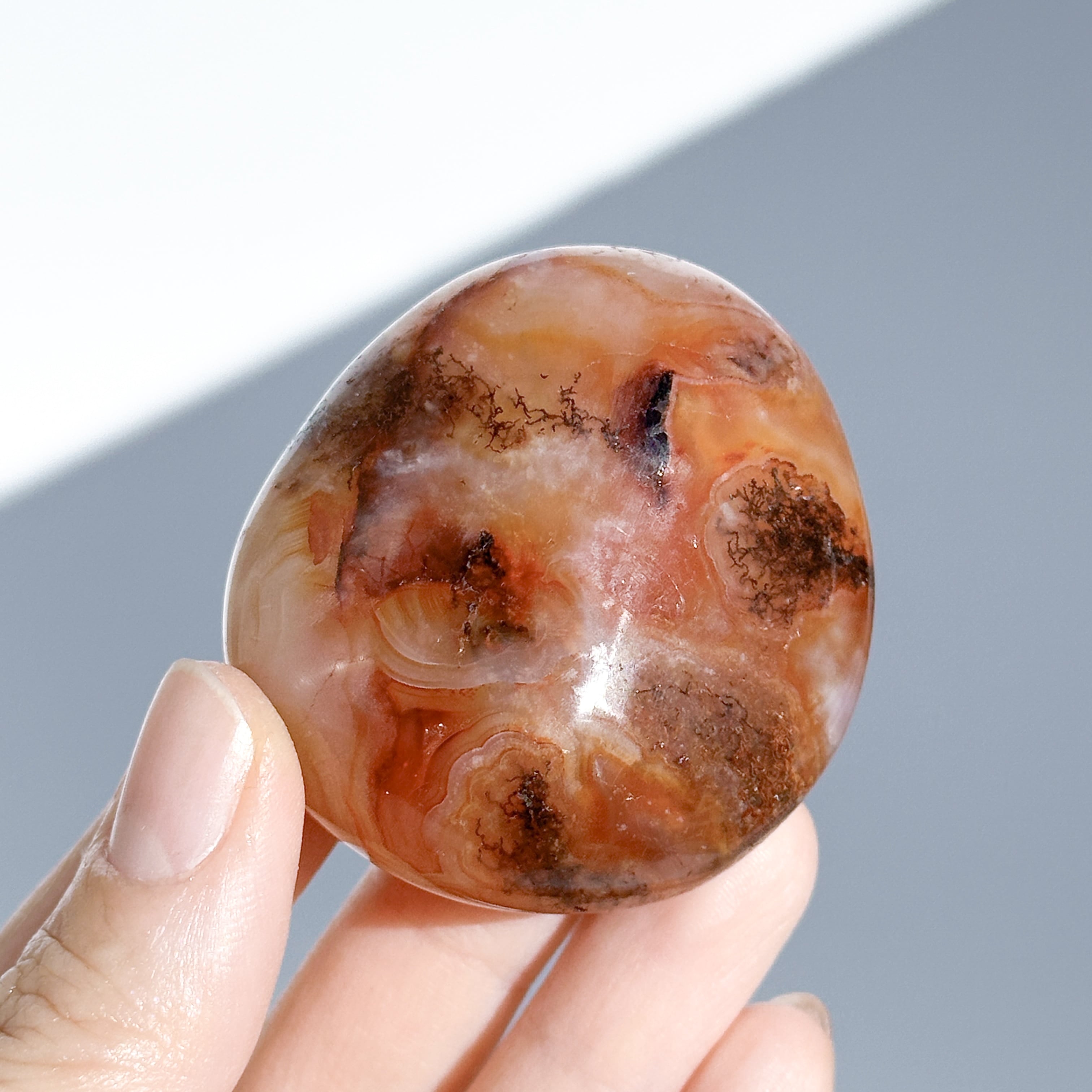 あ〜きゃん♬様　高品質　カーネリアン　リス　カービング　天然石 カーネリアン パーム 24♢ Carnelian ♢天然石・鉱物・パワーストーン