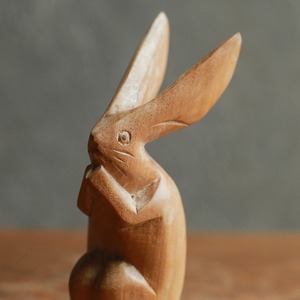 月にお祈りする、ピンとした耳のウサギ