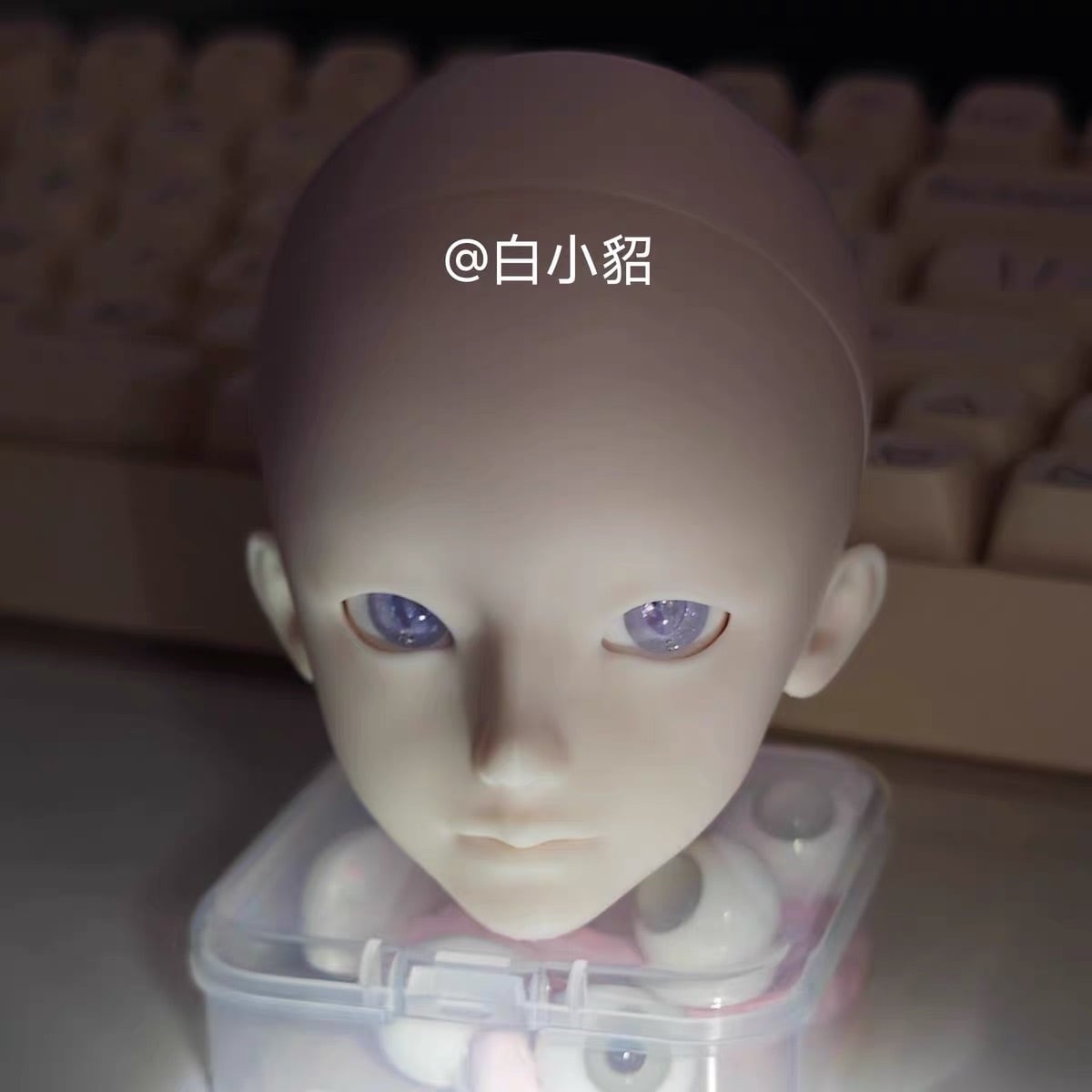 本体・ボディ・フルセット | miodollmio 本体・ボディ・フルセット | miodollmio