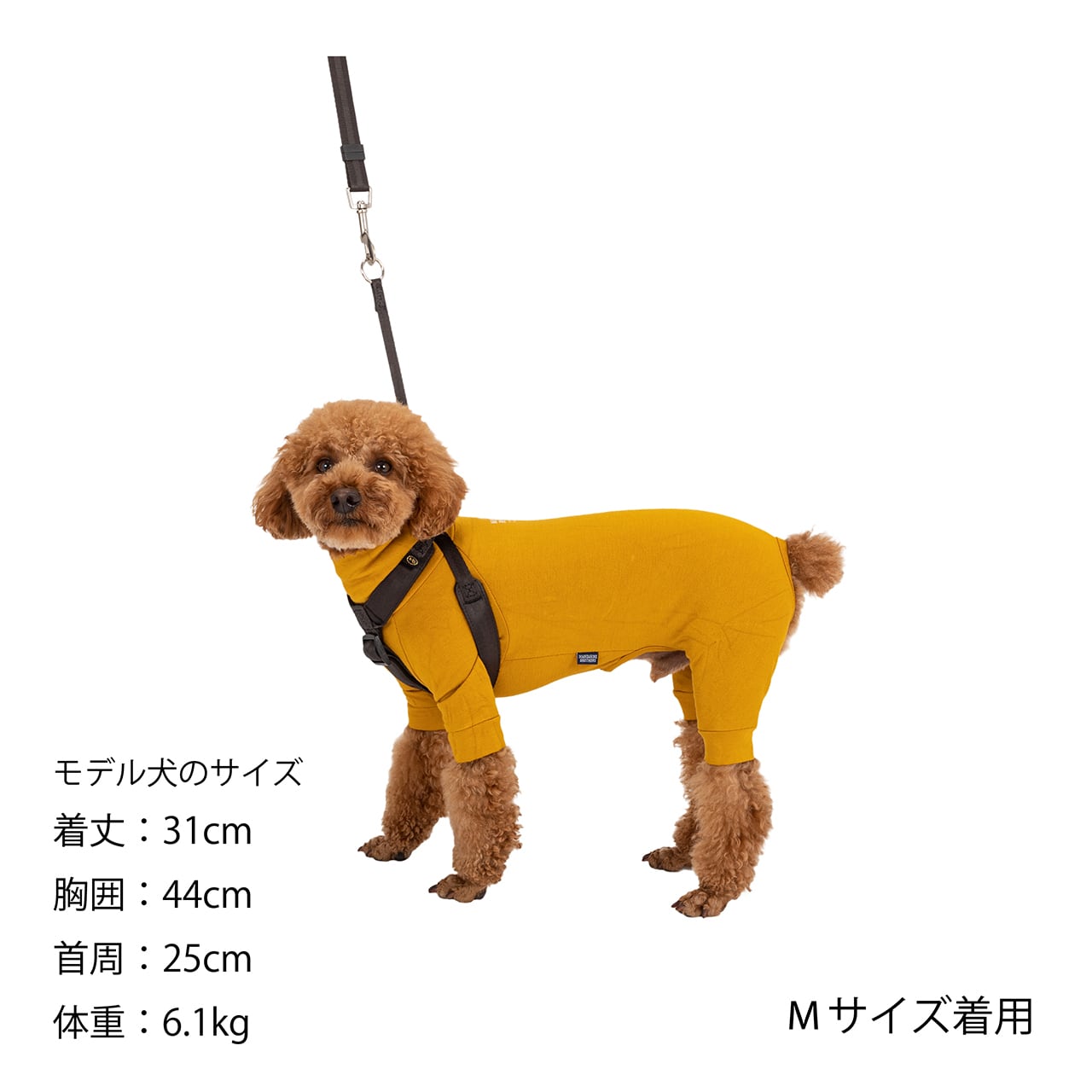 CLASSIC HARNESS Lサイズ クラシックハーネス Lサイズ | MANDARINE