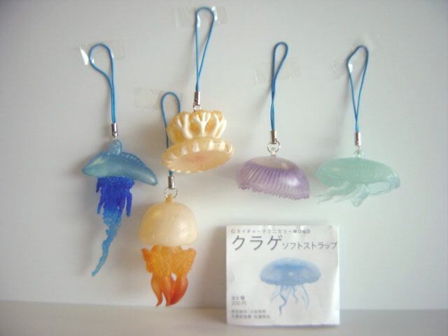 ♯Jti11RZネイチャーテクニカラー小笠原2種 ♯Jti11Ozネイチャー