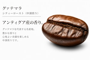 グァテマラ シティロースト｜中深煎り