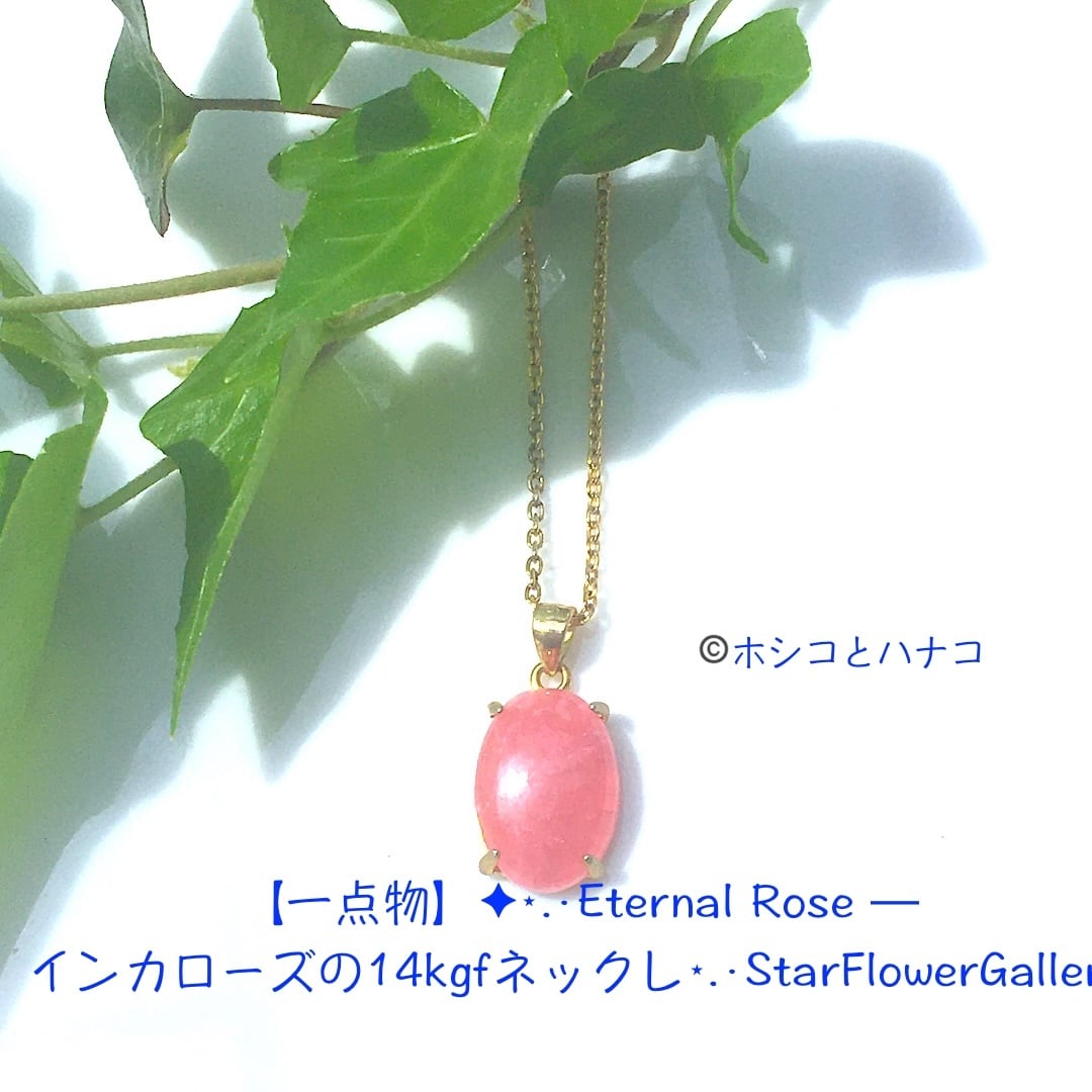 【一点物】✦⋆.·Eternal Rose ─ インカローズの14kgfネックレス⋆.·StarFlowerGallery