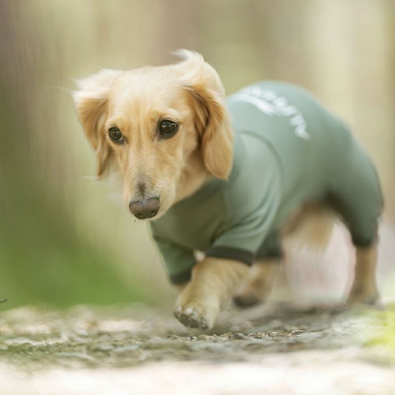 アルファアイコン スノードッグガード M 【公式通販】