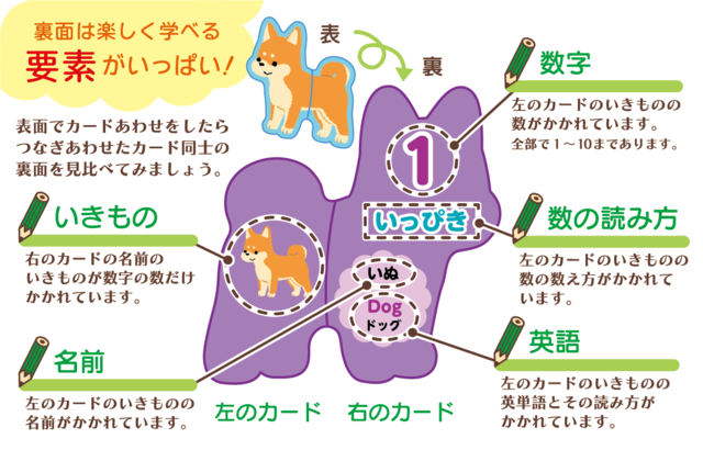 絵あわせカード（いきもの）