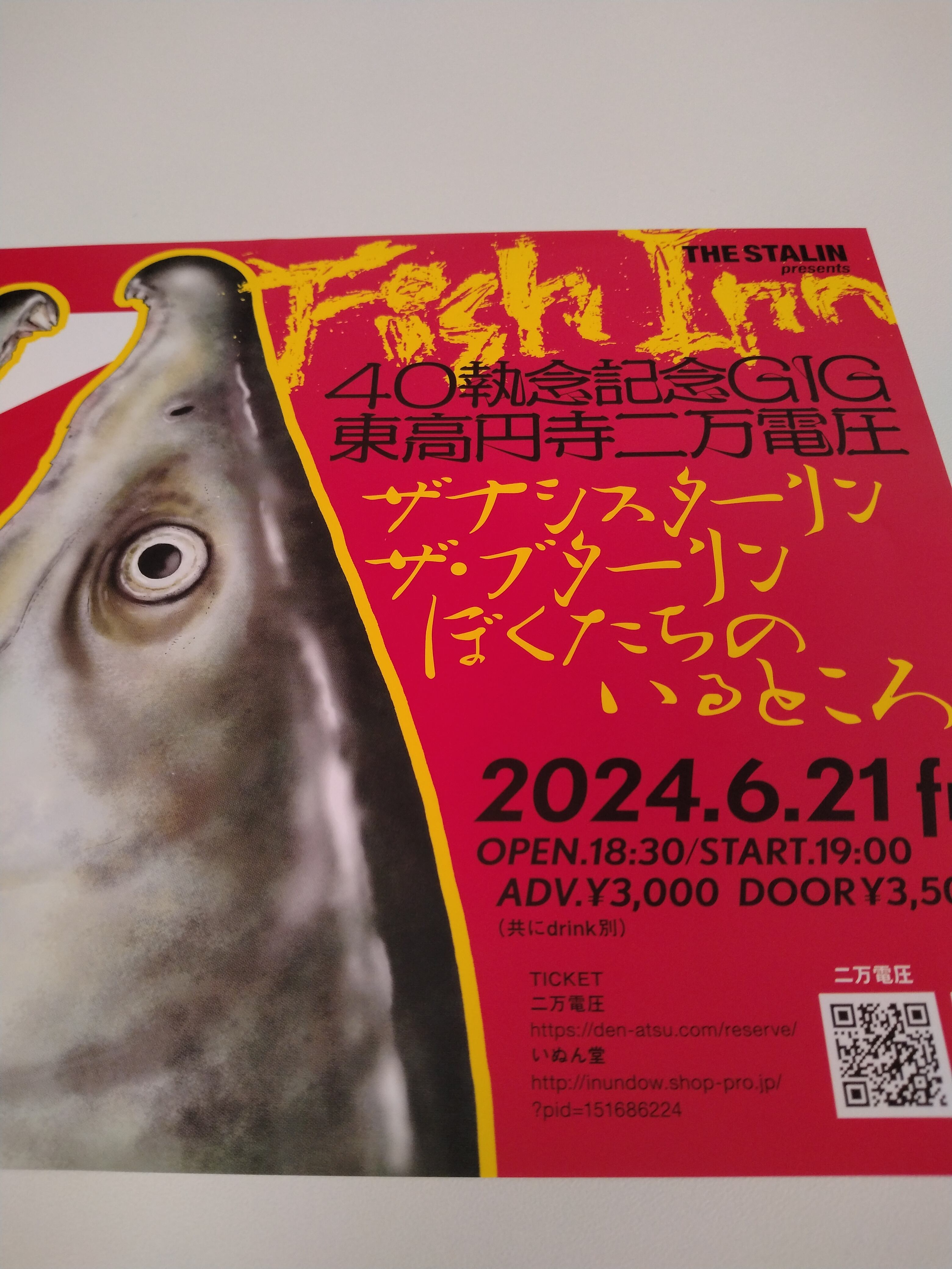 THE STALIN/Fish Inn〜40執念記念GIG〜 | RECORD SHOP CONQUEST