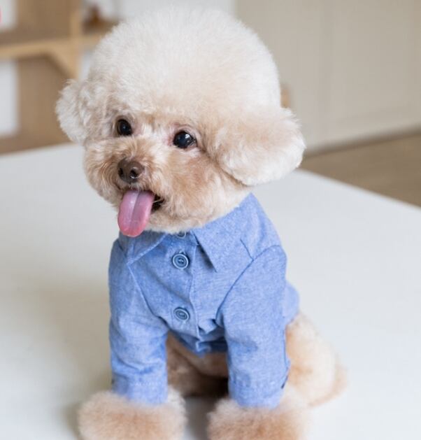 《予約》№1103022 長袖シャツ