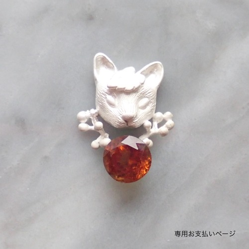 お支払い専用ページ