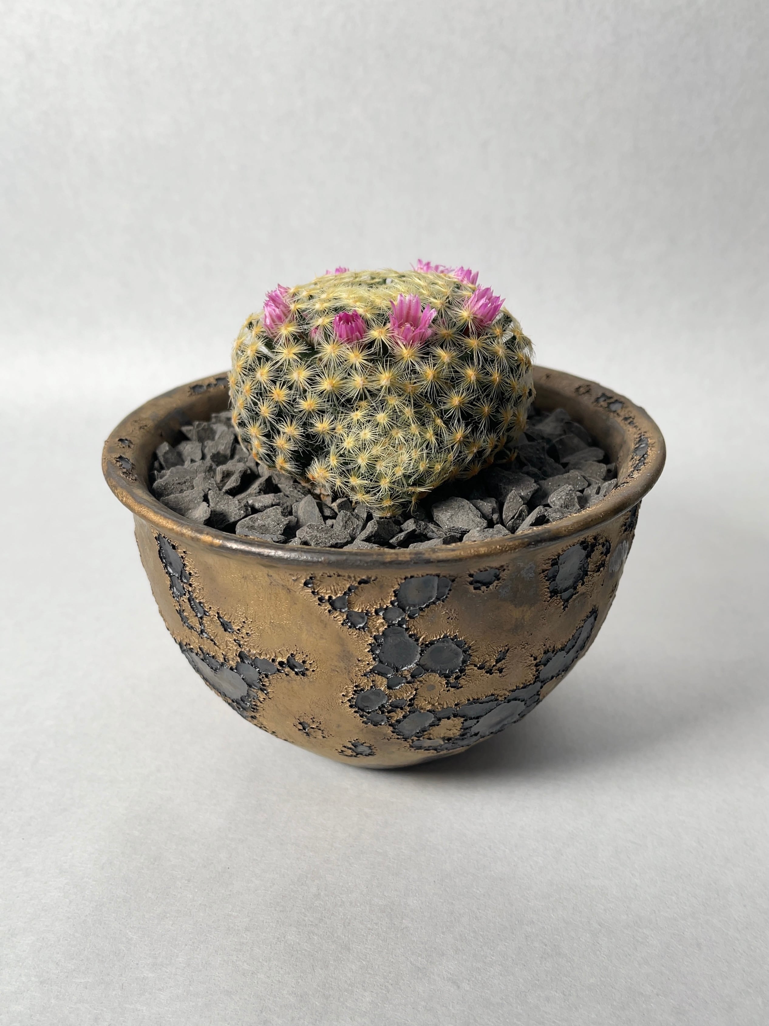 4a21c795d2d5fbfea4743272844678