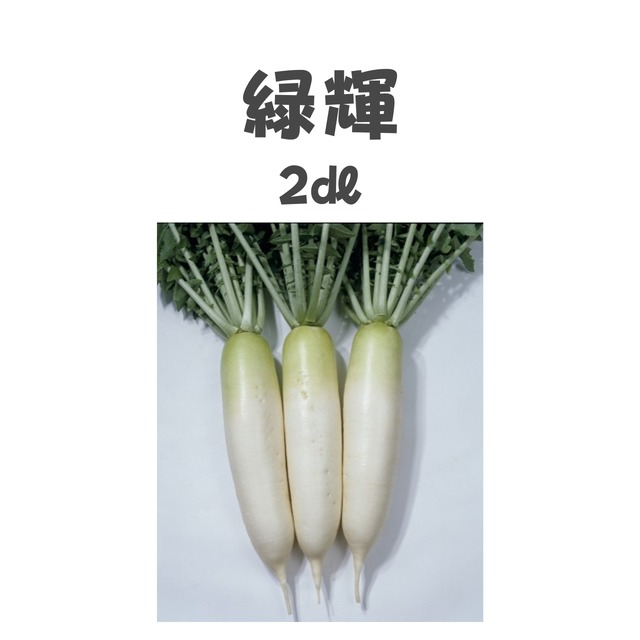 緑輝　ダイコン種子・2dl