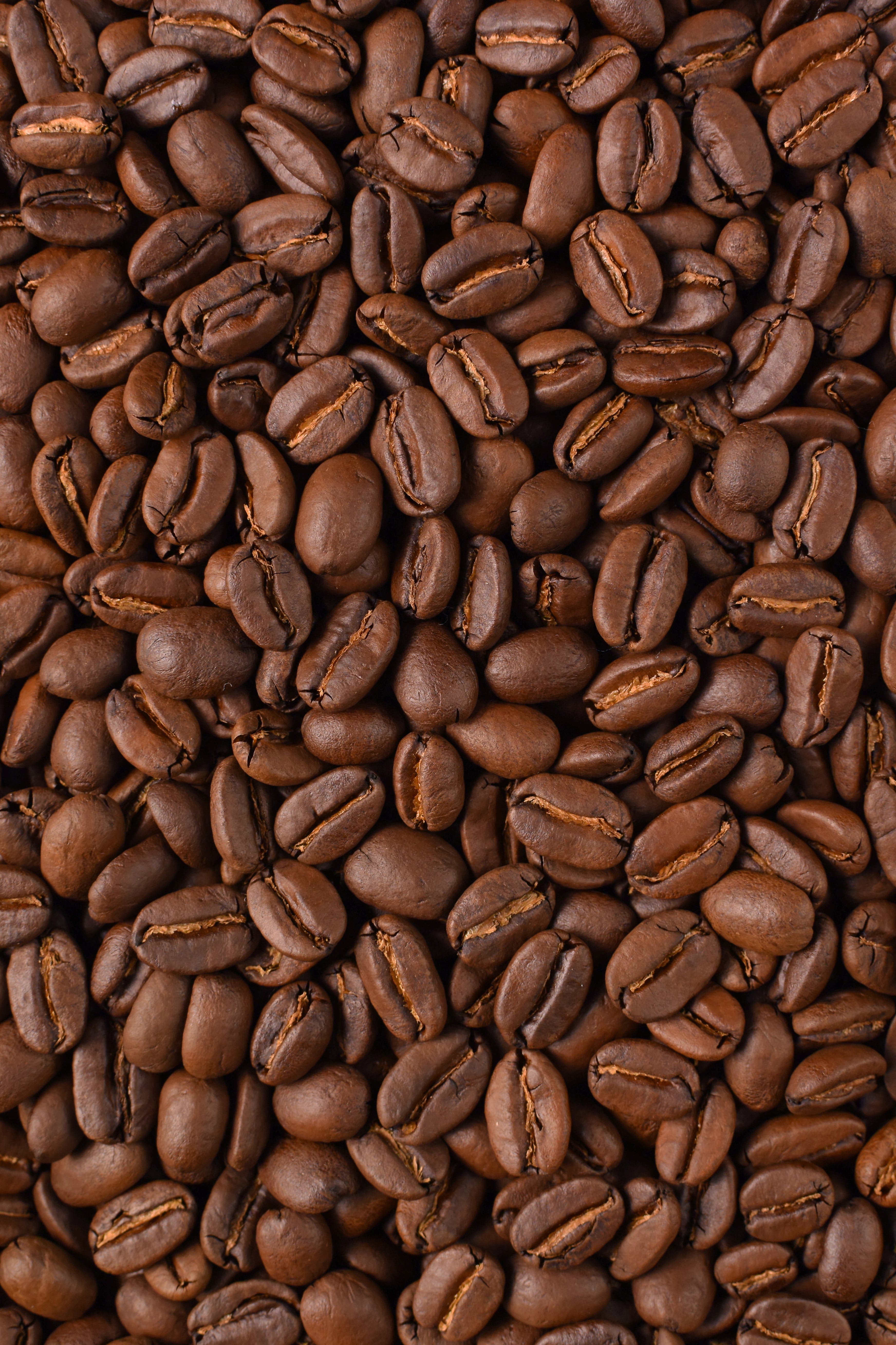 パプアニューギニア マッドマン 中深煎り 150g | FULLSHOT COFFEE BEANS