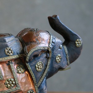 インドからやって来た、プリミティブな象 9