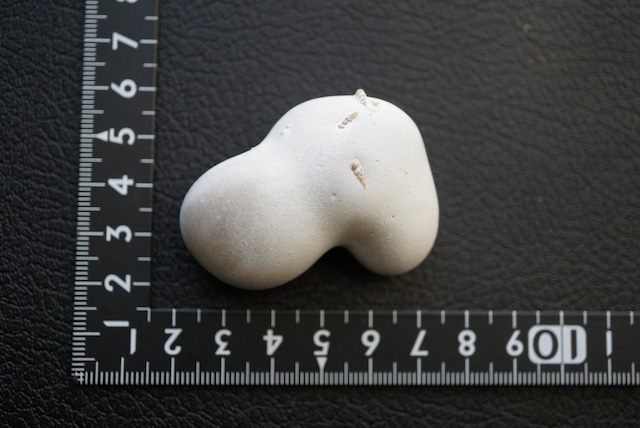 メニライトオパール Menilite Opal 1919