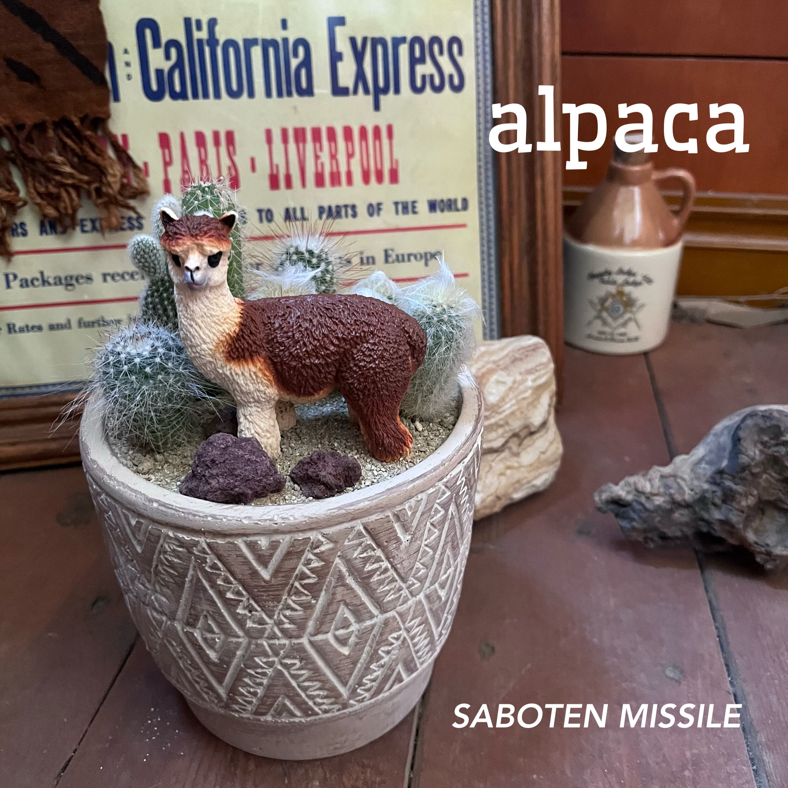 Alpaca アルパカ Saboten Missile