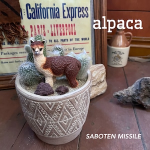 Alpaca アルパカ