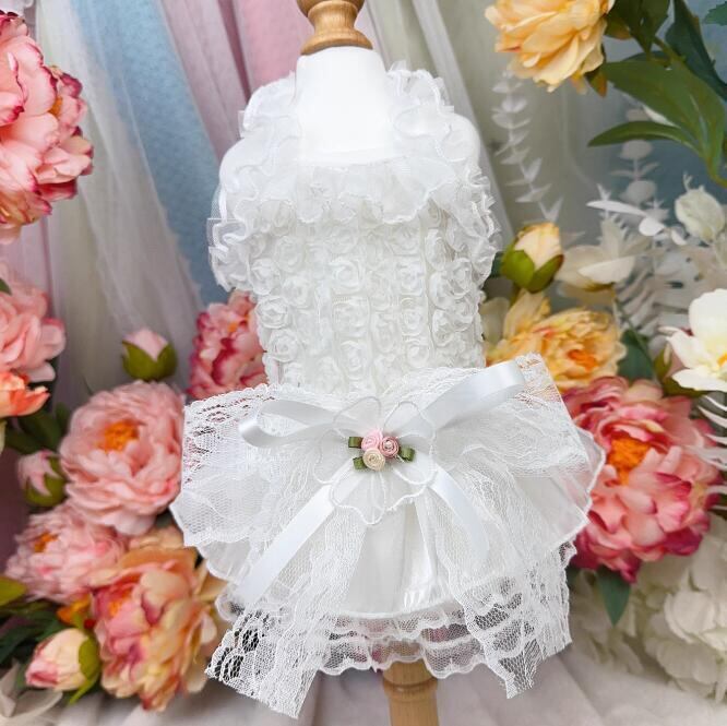 《予約》№3102123 ランウェイホワイトドレス