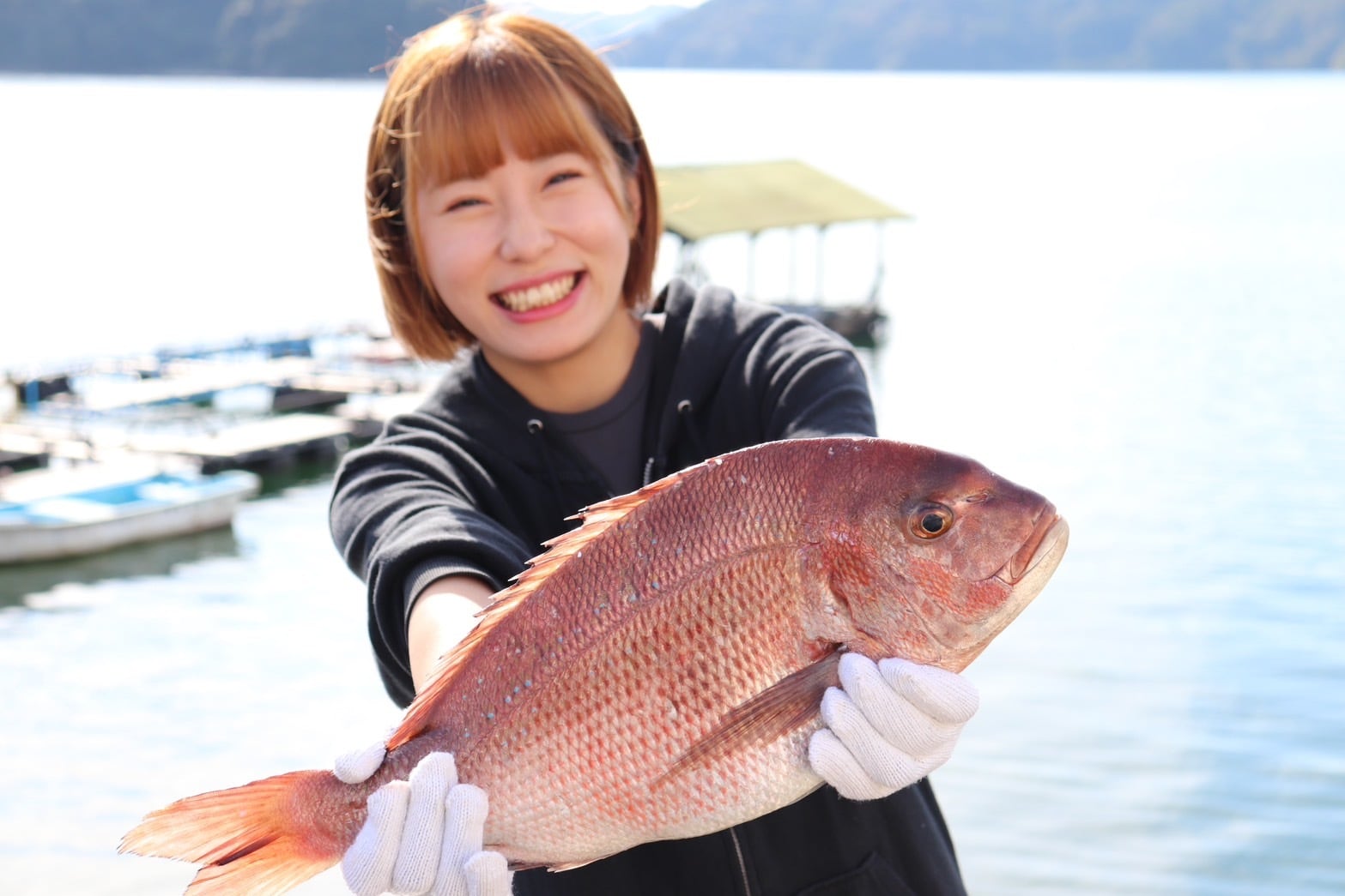 鯛 》 1尾分 柵 《 1kg 鳴門鯛 箱無し 【極美品】吉村楽入作、赤楽鯛形小向付け　4点セット 1尾 下処理 鯛 鳴門 天然 タイ 刺身 食器