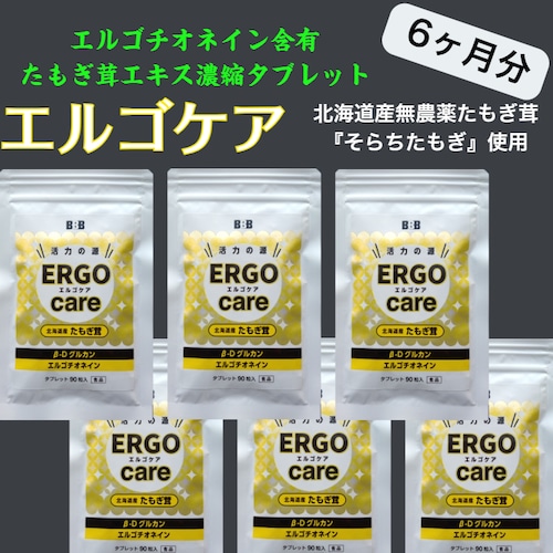 6ヶ月分で3０％OFF　エルゴチオネイン含有　エルゴケア90粒(約30日分)　たもぎ茸エキス濃縮タブレット