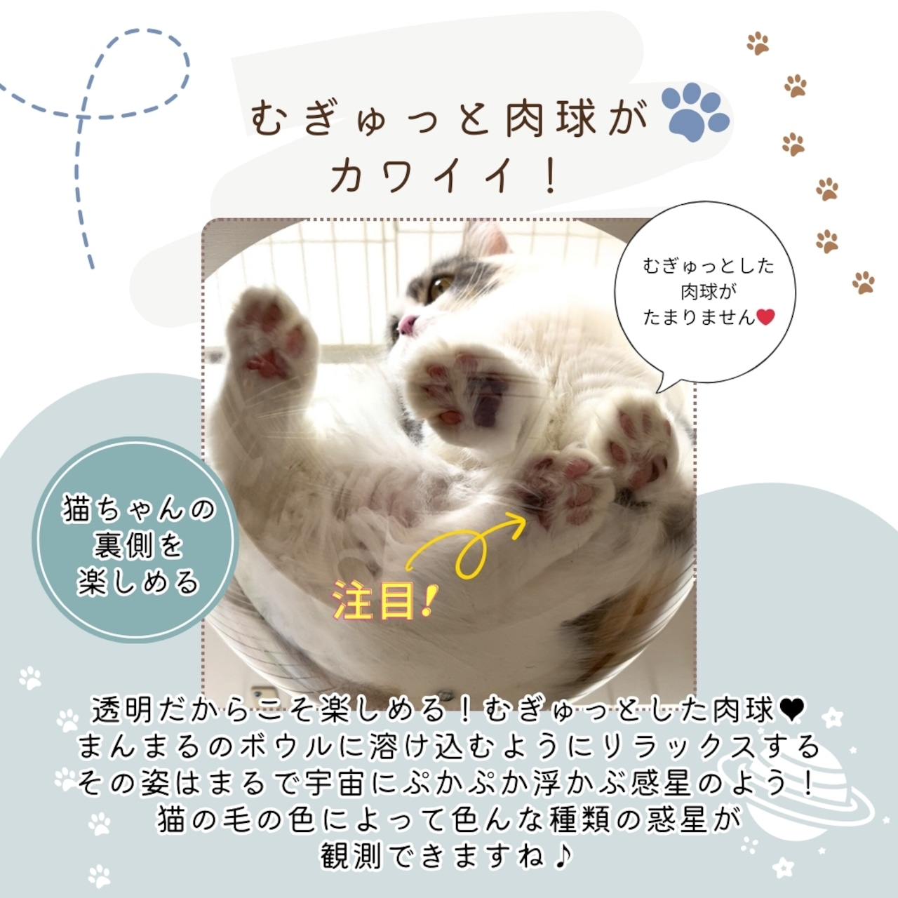 【ienekoケージオプション(ねこの惑星)】ボウルとステップ台が一体型で安定感が抜群です!