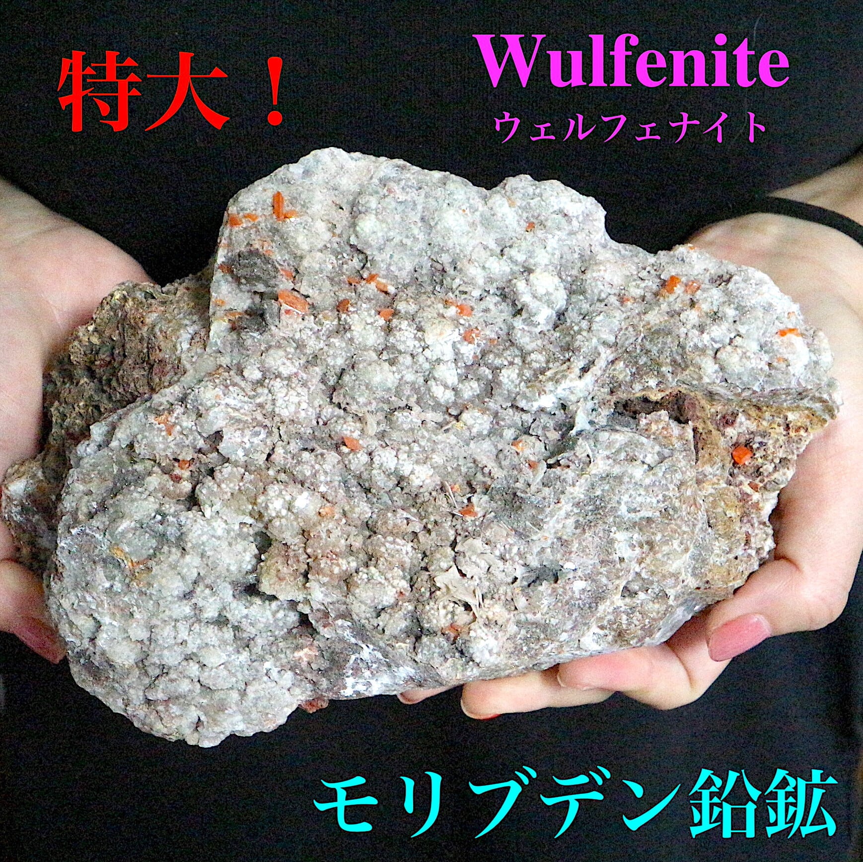 ※SALE※ 超特大！モリブデン鉛鉱 2800g! ウェルフェナイト WF051 天然石 鉱物 標本 原石 | 鉱物 天然石 American  Minerals + Gemmy You powered by BASE