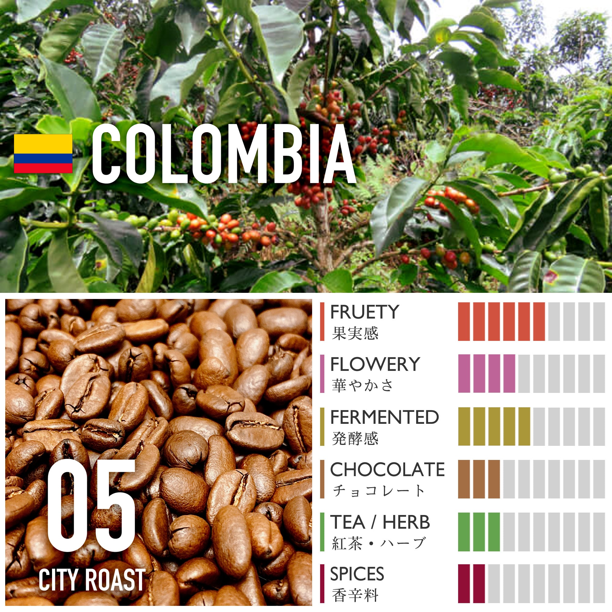 コロンビア/サン・ルイス農園・レッドブルボン・ミックスファーメンテーション【中深煎り】