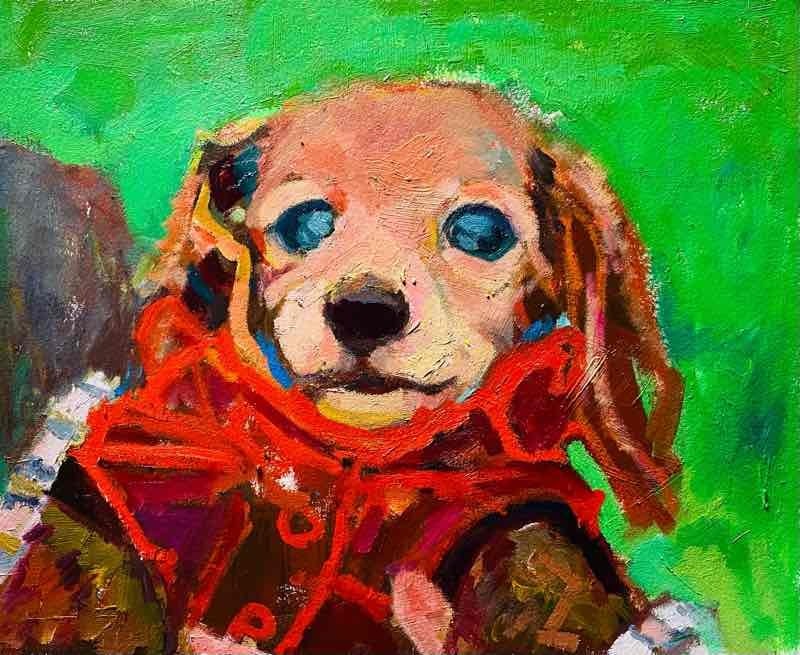 OIL COLOUR | 油彩画 #現代アート #犬 #猫