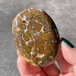 Cobra Jasper コブラジャスパー|Palm パーム|天然石　パワーストーン　鉱物　gem stone